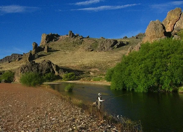 User submitted picture: Flyfishing for browns and...